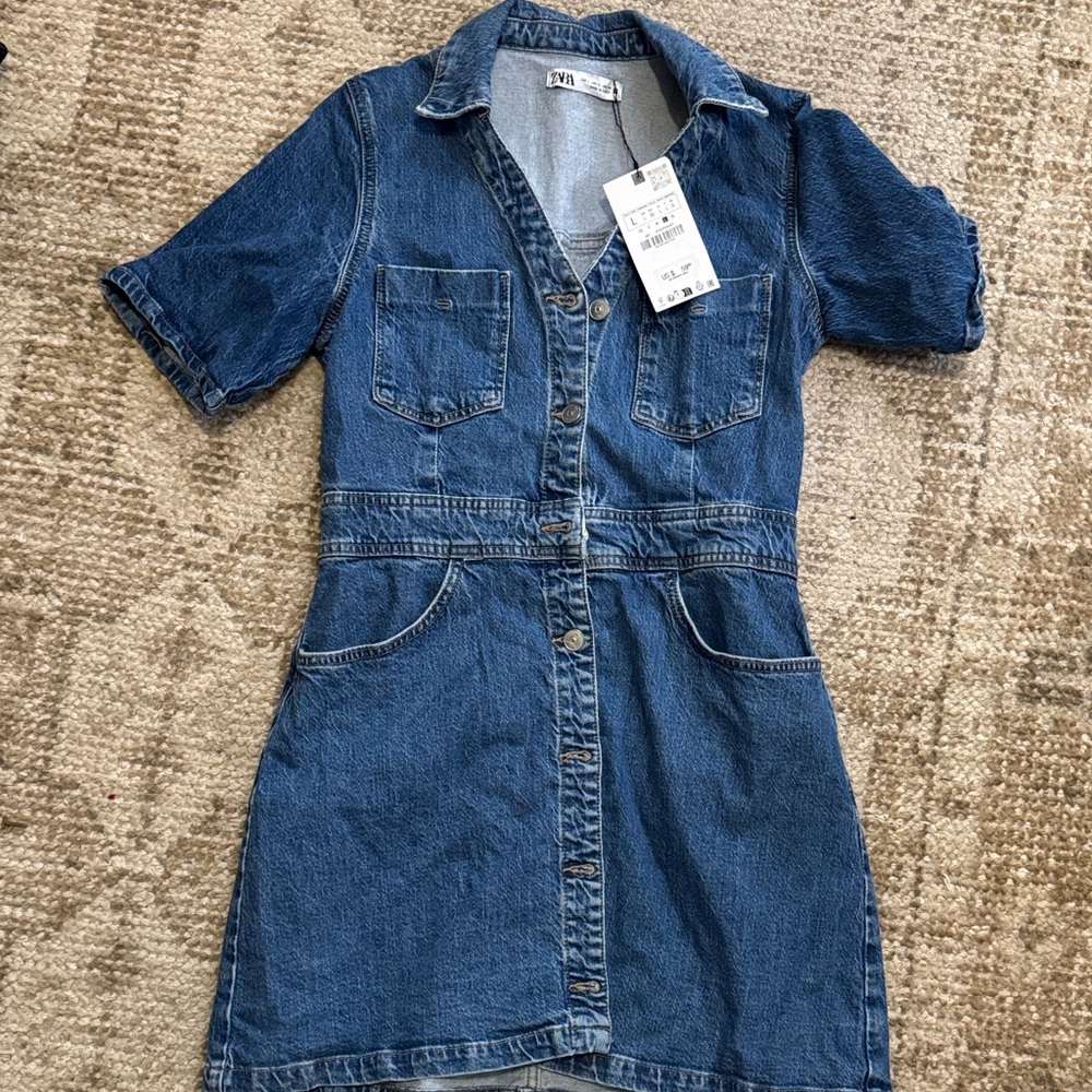 Zara Denim Button-Up Dress